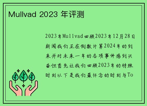 Mullvad 2023 年评测 