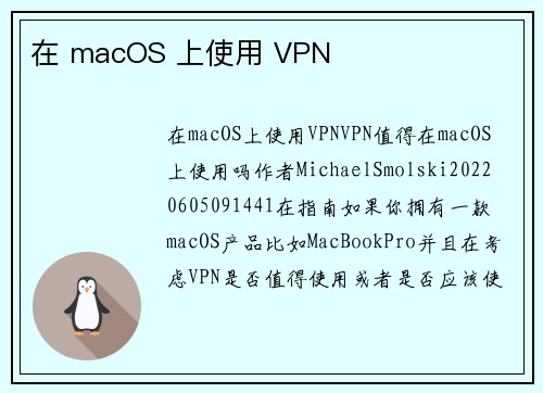 在 macOS 上使用 VPN 